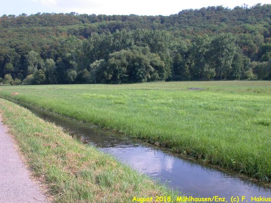 Enzwiesen-Bewässerung