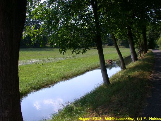 Enzwiesen-Bewässerung