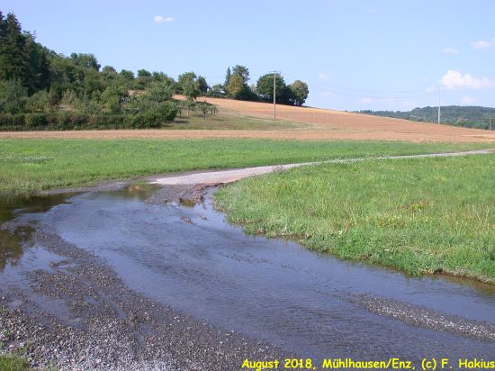 Enzwiesen-Bewässerung