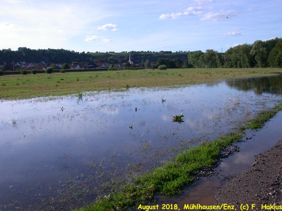 Enzwiesen-Bewässerung
