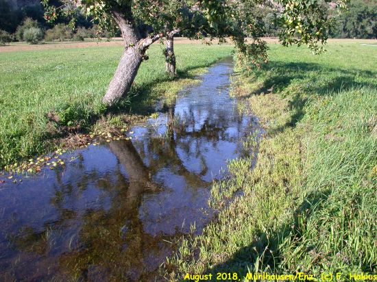 Enzwiesen-Bewässerung