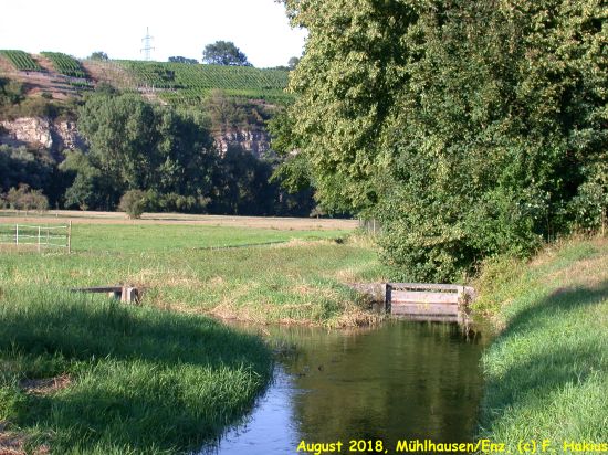 Enzwiesen-Bewässerung