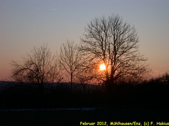 Februar 2012