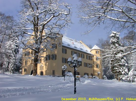 Schloß im Dezember 2010