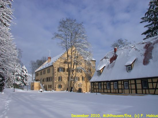 Schloß im Dezember 2010