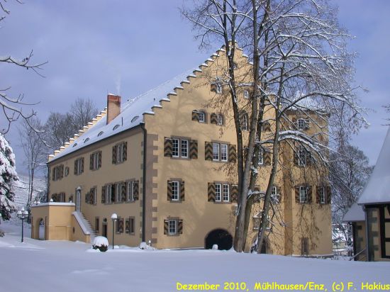 Schloß im Dezember 2010