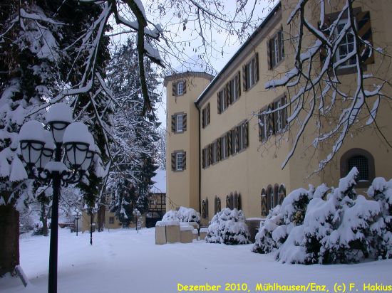 Schloß im Dezember 2010