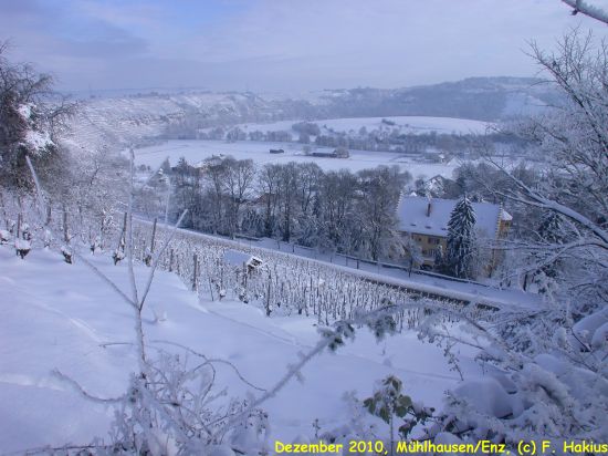 Schloß im Dezember 2010